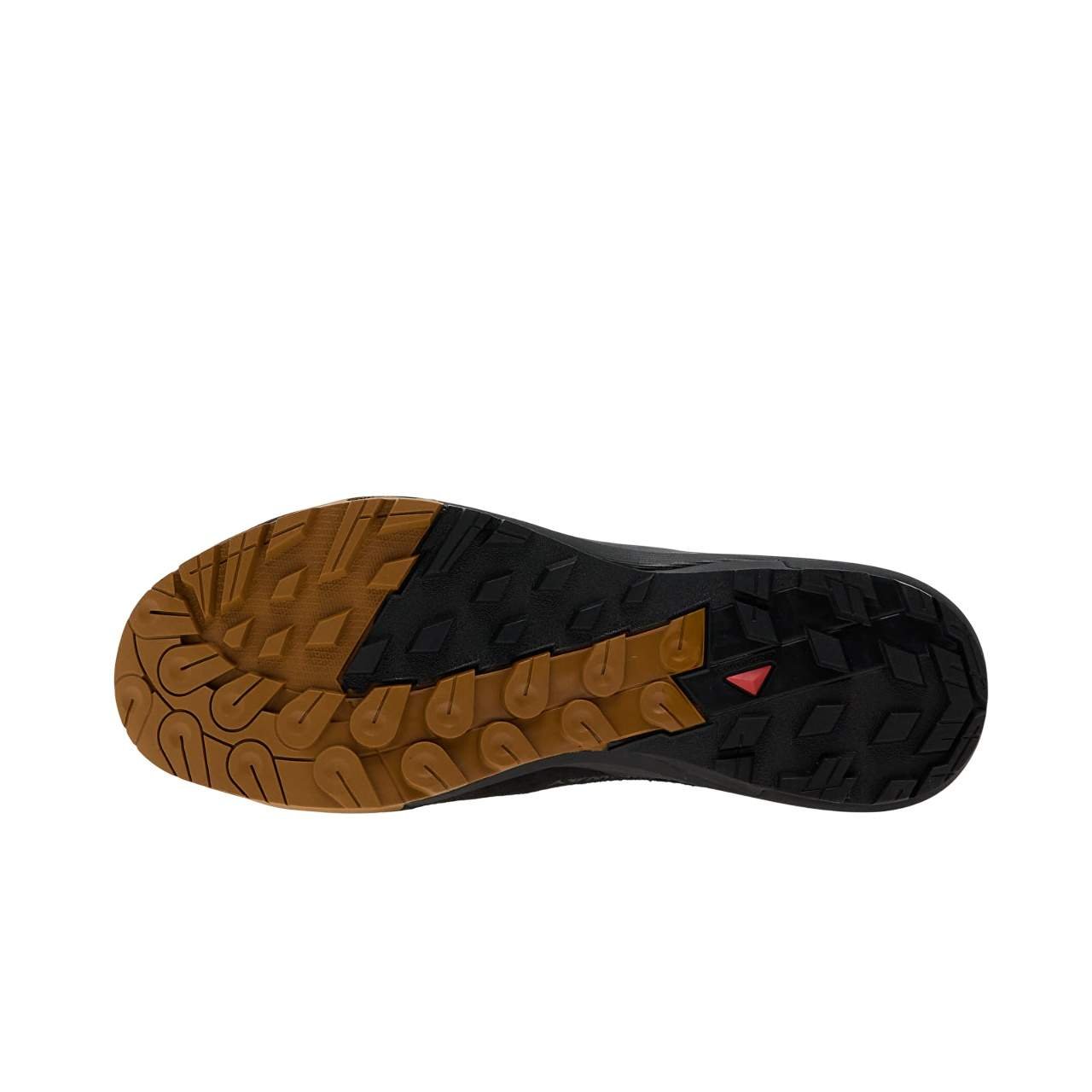 נעלי סלומון | Salomon ALPINWAY ADVANCED Paleol/ Black/ Ice – תמונה 6