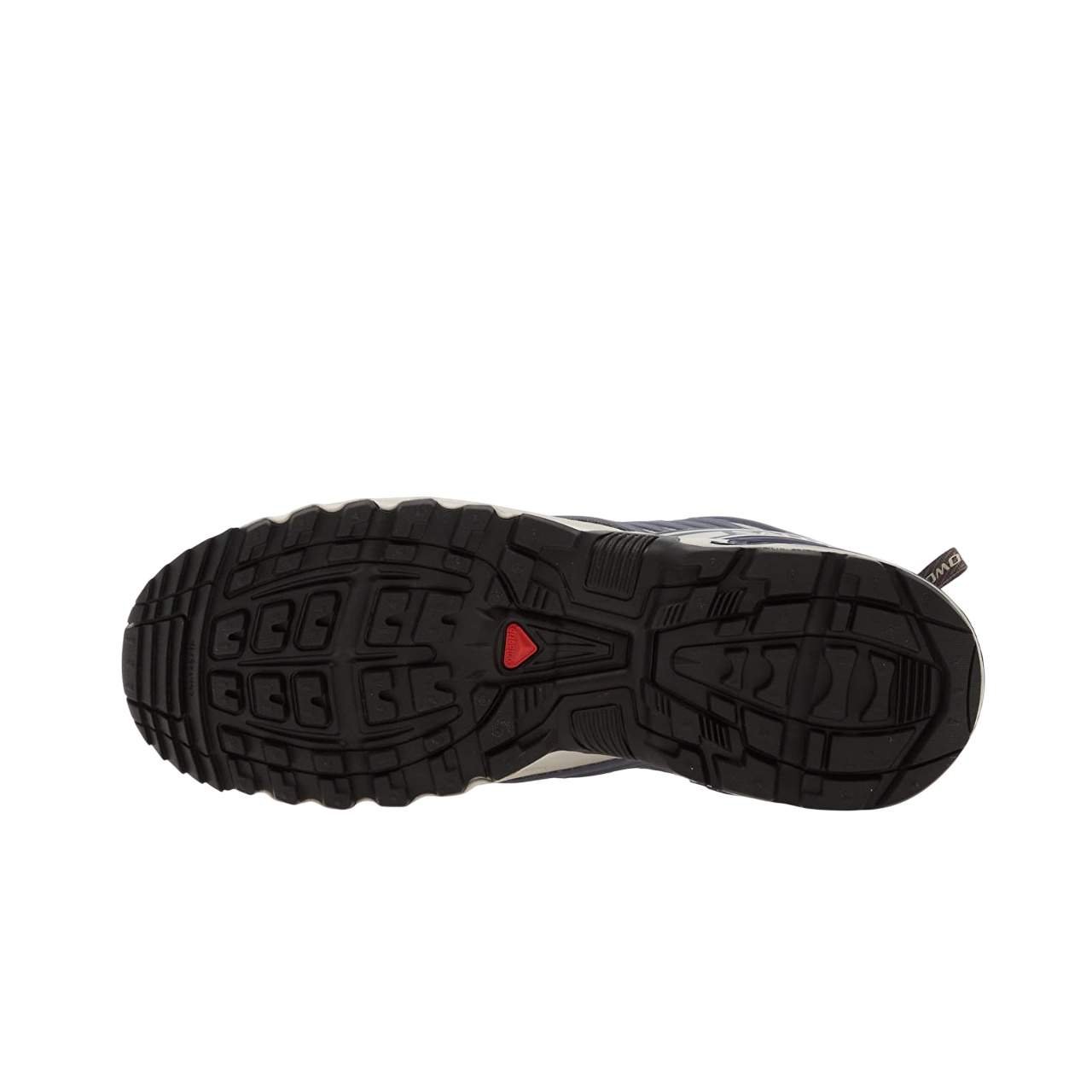 נעלי סלומון | Salomon Acs Pro Gtx LunRoc/ Grisai/ Pkiten – תמונה 4